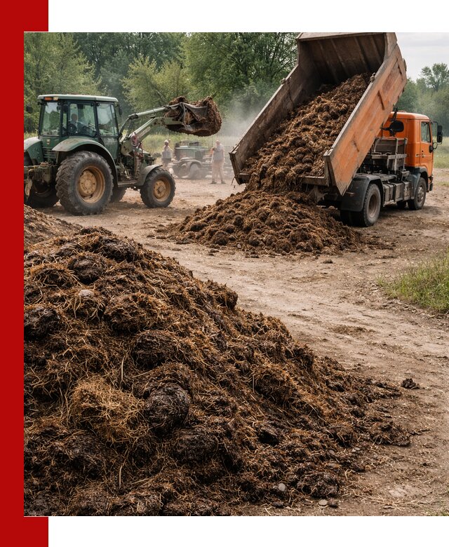 Доставка навоза самосвалами в Кузнецке для сельхозпотребностей
