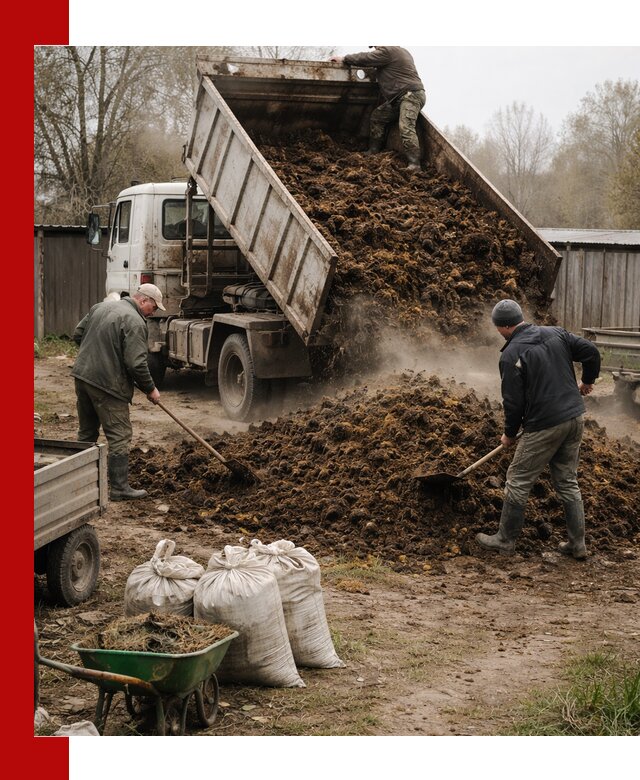 Доставка коровьего навоза самосвалом в Кузнецке